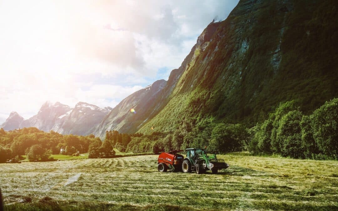 Viktigheten av det norske bondeopprøret